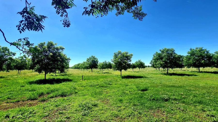Commercial Property for Sale in Bainsvlei Free State